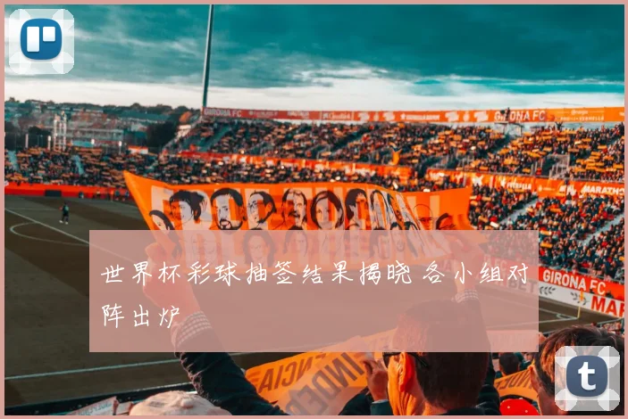 世界杯彩球抽签结果揭晓 各小组对阵出炉