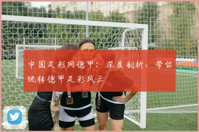 中国足彩网德甲：深度剖析，带你玩转德甲足彩风云