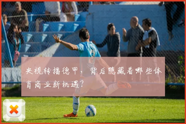 央视转播德甲，背后隐藏着哪些体育商业新机遇？