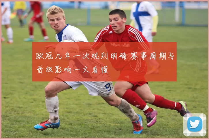 欧冠几年一次规则明确 赛事周期与晋级影响一文看懂