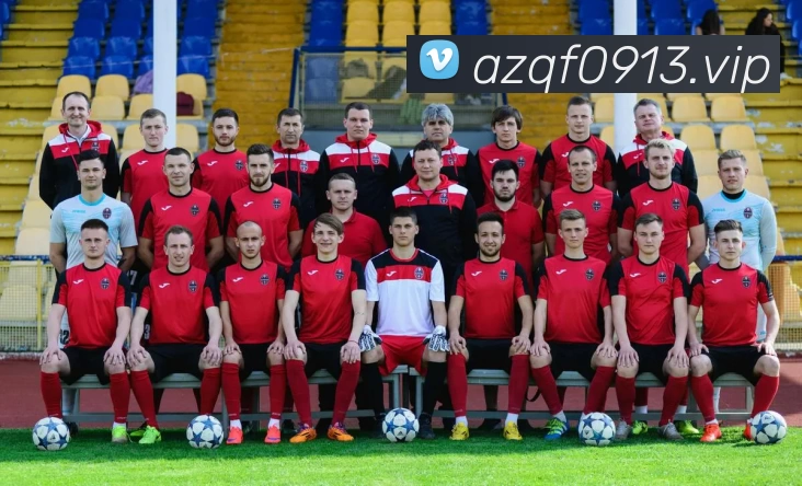 kaiyun体育在线登陆入口(China)官方网站APP 封面图