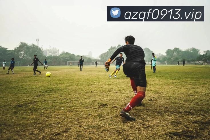 数据防护可视化